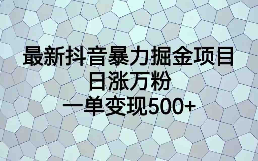 最新抖音暴力掘金项目，日涨万粉，一单变现500+(探索最新抖音暴力掘金项目，实现快速粉丝增长与高额变现)