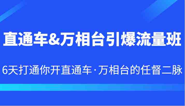 直通车&amp;万相台引爆流量班 6天打通你开直通车·万相台的任督二脉(深度解析直通车&万相台引爆流量班从基础操作到高级策略一站式掌握)