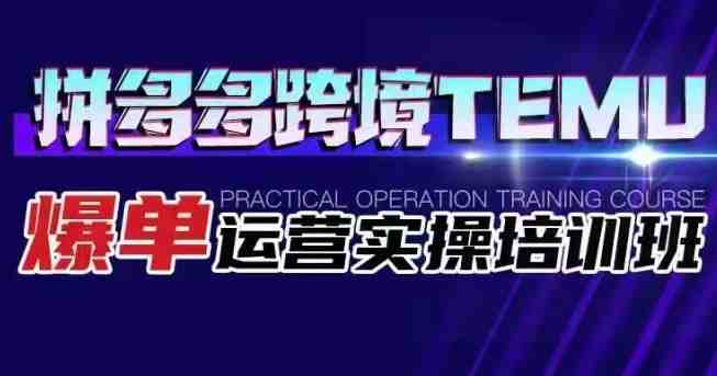 拼多多跨境TEMU爆单运营实操培训班 海外拼多多的选品、运营、爆单(海外拼多多TEMU运营实操培训从选品到爆单一站式学习)