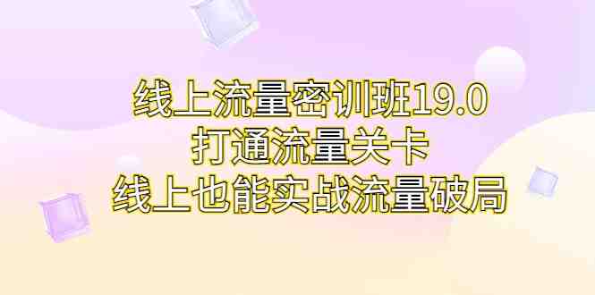线上流量密训班19.0，打通流量关卡，线上也能实战流量破局(中小卖家流量破局利器线上流量密训班19.0实操技巧解析)