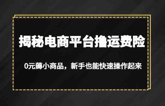 揭秘电商平台撸运费险,0元薅小商品,新手也能快速操作起来(“揭秘电商平台撸运费险0元薅小商品,新手也能轻松掌握”) 揭秘电商平台撸运费险,0元薅小商品,新手也能快速操作起来(“揭秘电商平台撸运费险0元薅小商品,新手也能轻松掌握”)
