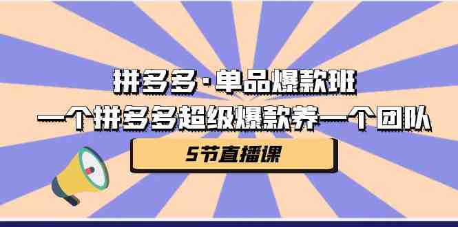 拼多多·单品爆款班,一个拼多多超级爆款养一个团队(5节直播课)(深入解析拼多多·单品爆款班五天课程大纲) 拼多多·单品爆款班,一个拼多多超级爆款养一个团队(5节直播课)(深入解析拼多多·单品爆款班五天课程大纲)