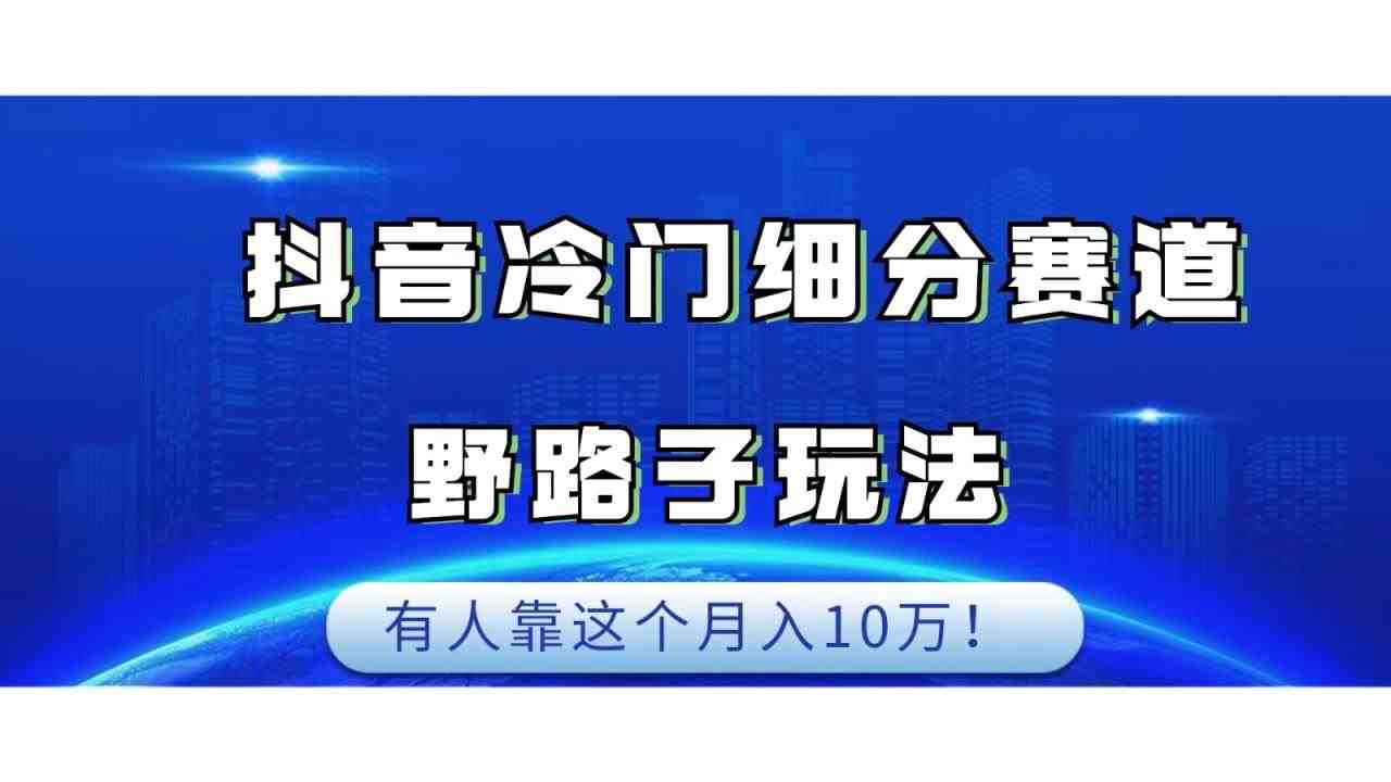 抖音冷门细分赛道野路子玩法，有人靠这个月入10万(抖音冷门细分赛道项目轻松制作原创视频，实现月入10万)