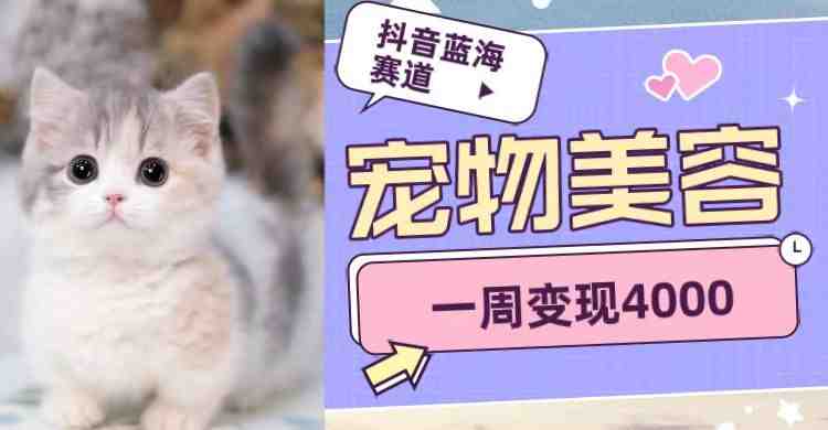 抖音蓝海赛道,宠物美容,一周变现4000(探索抖音蓝海赛道宠物美容领域的快速涨粉与变现策略) 抖音蓝海赛道,宠物美容,一周变现4000(探索抖音蓝海赛道宠物美容领域的快速涨粉与变现策略)