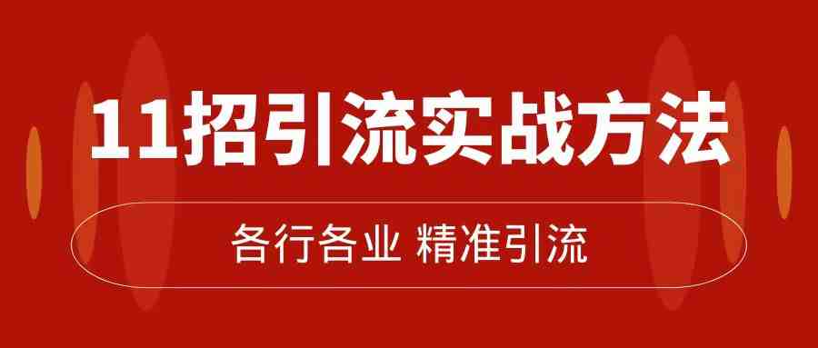 精准引流术：11招引流实战方法，让你私域流量加到爆（11节课完整版）(精准引流术11招实战方法助你私域流量翻倍增长)