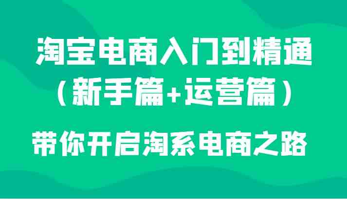 淘宝电商入门到精通（新手篇+运营篇）带你开启淘系电商之路(&#8220;全面解析淘宝电商运营之道新手篇与运营进阶篇一站式学习&#8221;)