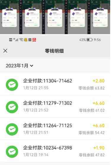 最新某养鱼平台接码无限撸红包项目，提现秒到轻松日入几百+【详细玩法教程】(最新某养鱼平台接码无限撸红包项目，轻松日入几百+)
