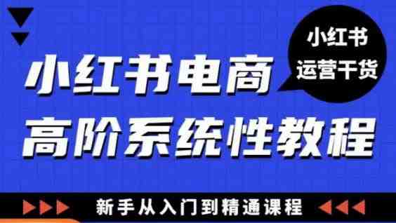 小红书电商高阶系统教程,新手从入门到精通系统课(小红书电商高阶系统教程从入门到精通的实战指南) 小红书电商高阶系统教程,新手从入门到精通系统课(小红书电商高阶系统教程从入门到精通的实战指南)