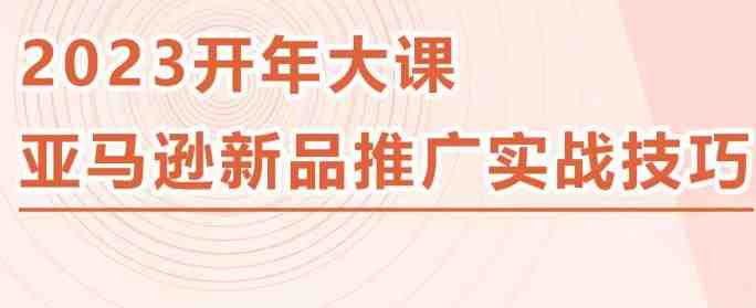 2023亚马逊新品推广实战技巧，线下百万美金课程的精简版，简单粗暴可复制，实操性强的推广手段(掌握简单粗暴的亚马逊新品推广实战技巧)