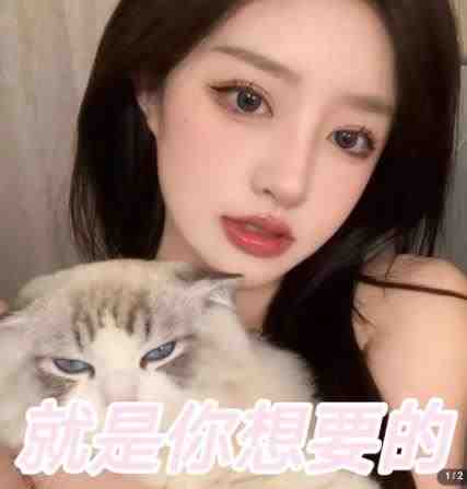 微信交友变现项目，吸引全网LSP男粉精准变现，小白也能轻松上手，日入500+(微信交友变现项目全网LSP男粉精准变现，小白也能轻松上手)