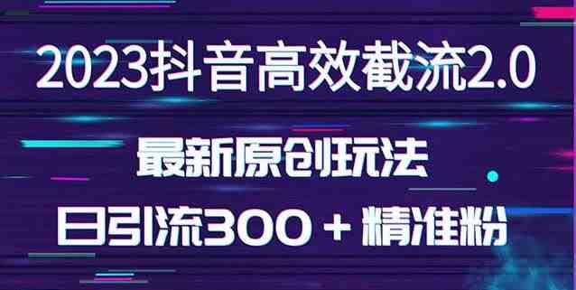 日引300+创业粉,独家抖音高效截流2.0玩法(价值1280)(探索抖音高效截流2.0玩法无需起号,批量放大引流效果)
