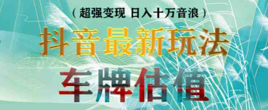 抖音最新无人直播变现直播车牌估值玩法项目，轻松日赚几百+【详细玩法教程】(抖音无人直播车牌估值玩法轻松日赚几百的详细教程)
