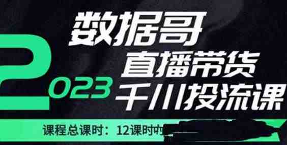 数据哥2023直播电商巨量千川付费投流实操课,快速掌握直播带货运营投放策略(全面掌握直播带货运营投放策略,助力直播电商发展) 数据哥2023直播电商巨量千川付费投流实操课,快速掌握直播带货运营投放策略(全面掌握直播带货运营投放策略,助力直播电商发展)