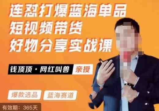 网红叫兽·连怼打爆蓝海单品，短视频带货好物分享实战课(全面解析短视频带货实战技巧与策略)