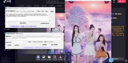 最新电脑版抖音/快手/B站直播源获取+直播间实时录制+直播转播软件【全套软件+详细教程】(最新电脑版抖音/快手/B站直播源获取+直播间实时录制+直播转播软件【全套软件+详细教程】)