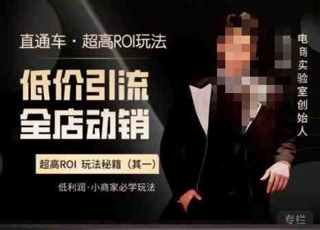 电商冰可乐·直通车·《低价引流·全店动销》，直通车·超高ROI玩法（其一）全店动销必学玩法(探索电商冰可乐·直通车的《低价引流·全店动销》课程，学习直通车超高ROI玩法，实现全店动销。)