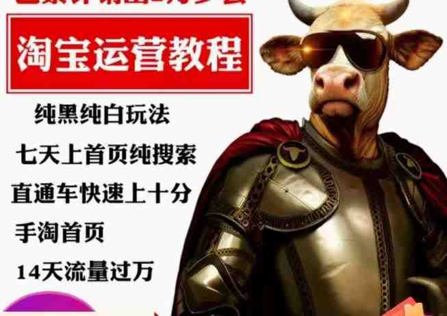 猫老师·淘系算法逆向解密,纯黑纯白玩法,七天上首页纯搜索,手淘首页14天流量过万(淘系算法逆向解密全新玩法助你快速提升店铺流量) 猫老师·淘系算法逆向解密,纯黑纯白玩法,七天上首页纯搜索,手淘首页14天流量过万(淘系算法逆向解密全新玩法助你快速提升店铺流量)