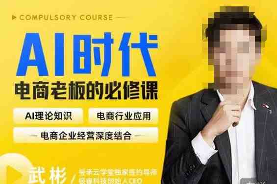 玺承·AI时代，电商老板的必修课，理论+实操+工具，驱动电商销售转化(掌握AI技术，驱动电商销售转化)