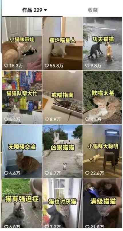 拆解:抖音盘点类中视频变现副业项目,视频版一条龙大解析分享给你(“抖音盘点类视频变现副业项目详解从搞笑到宠物,一条龙大解析分享给你”) 拆解:抖音盘点类中视频变现副业项目,视频版一条龙大解析分享给你(“抖音盘点类视频变现副业项目详解从搞笑到宠物,一条龙大解析分享给你”)