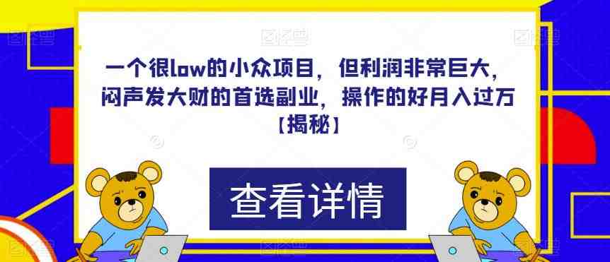 一个很low的小众项目，但利润非常巨大，闷声发大财的首选副业，操作的好月入过万【揭秘】(揭秘一个低门槛高收益的小众项目，如何轻松实现月入过万？)