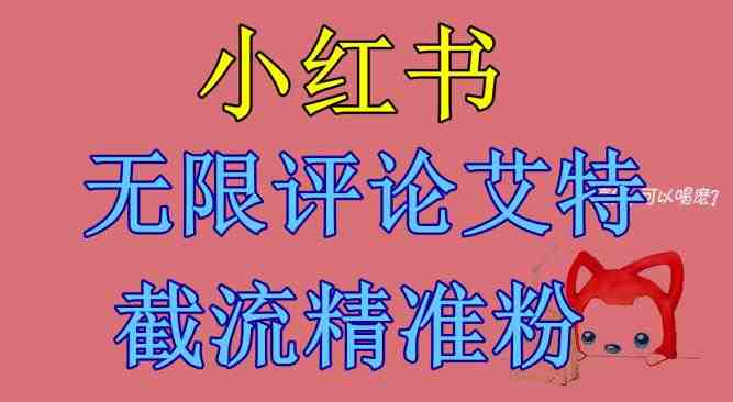 小红书无限评论艾特截流精准粉（软件+教程）(小红书无限评论艾特截流精准粉的实用指南)