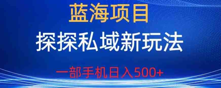 蓝海项目，探探私域新玩法，一部手机日入500+很轻松【揭秘】(揭秘探探私域新玩法轻松实现日入500+)