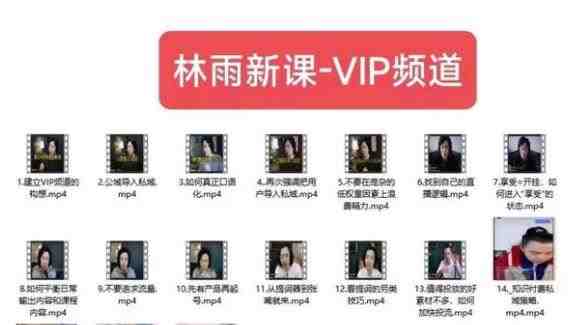 林雨新课VIP频道，玩赚私域/朋友圈/社群(探索林雨新课VIP频道玩转私域、朋友圈和社群的全面指南)