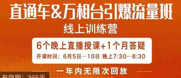 直通车&#038;万相台引爆流量班，6天打通你开直通车·万相台的任督二脉(&#8220;6天直通车&#038;万相台实战课程，助你轻松掌握电商推广秘诀&#8221;)