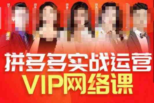 推易拼多多VIP全套直播课程,拼多多店铺实操玩法+实战玩法选款内功+直通车高阶等(掌握拼多多运营全攻略,提升店铺业绩) 推易拼多多VIP全套直播课程,拼多多店铺实操玩法+实战玩法选款内功+直通车高阶等(掌握拼多多运营全攻略,提升店铺业绩)