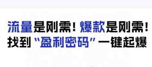 电商盈利精品课：6大盈利密码让产品更好卖，流量是刚需！爆款是刚需！找到&#8221;盈利密码”一键起爆(电商盈利精品课掌握6大盈利密码，实现产品销售的一键起爆)