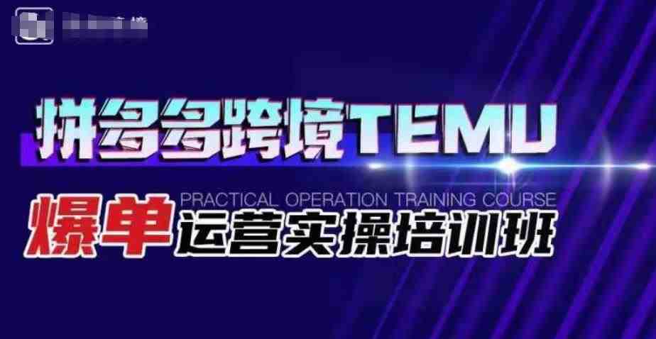 拼多多跨境TEMU爆单运营实操培训班,海外拼多多的选品、运营、爆单(全面掌握拼多多跨境TEMU运营策略,实现爆单目标) 拼多多跨境TEMU爆单运营实操培训班,海外拼多多的选品、运营、爆单(全面掌握拼多多跨境TEMU运营策略,实现爆单目标)