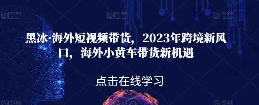 黑冰·海外短视频带货,2023年跨境新风口,海外小黄车带货新机遇(“黑冰·海外短视频带货课程全面解析2023年跨境电商新风口及小黄车带货新机遇”) 黑冰·海外短视频带货,2023年跨境新风口,海外小黄车带货新机遇(“黑冰·海外短视频带货课程全面解析2023年跨境电商新风口及小黄车带货新机遇”)