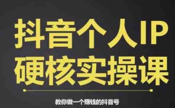 个人IP创富系统实战课，商业定位，流量打造，短视频变现，教你做个赚钱的抖音号(掌握抖音赚钱秘籍，打造个人IP实现财富增长)