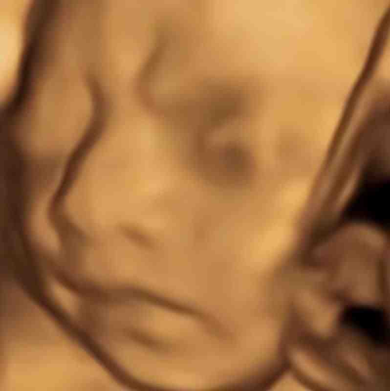 AI四维彩超预测，一单9.9-98，3分钟出图，一天变现1000+【揭秘】(揭秘AI四维彩超预测项目一单9.9-98元，3分钟出图，一天变现1000+)