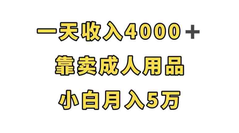 一天收入4000+,靠卖成人用品,小白轻松月入5万【揭秘】 一天收入4000+,靠卖成人用品,小白轻松月入5万【揭秘】