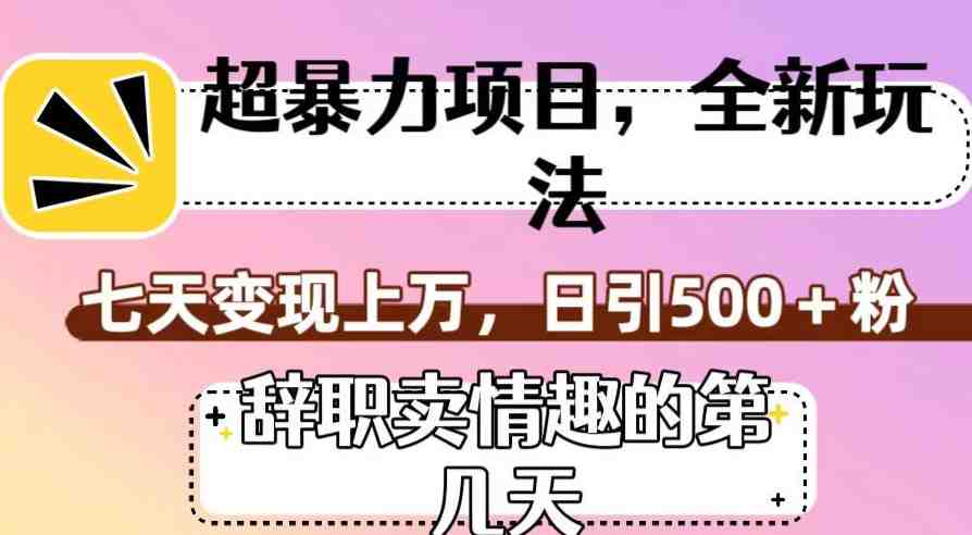 超暴利项目，全新玩法（辞职卖情趣的第几天），七天变现上万，日引500+粉【揭秘】
