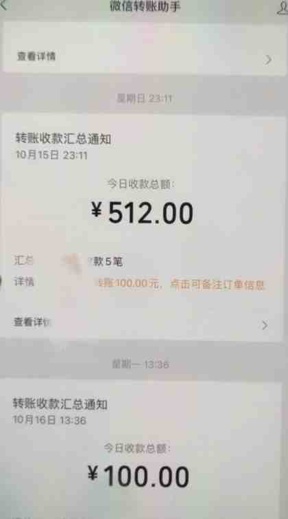 暴力日引500＋男粉独家思路，将美女做成极具视觉冲击力的视频，单月盈利超2万轻轻松松