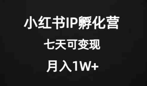 价值2000+的小红书IP孵化营项目，超级大蓝海，七天即可开始变现，稳定月入1W+(探索小红书IP孵化营项目七天即可开始变现，稳定月入1W+)