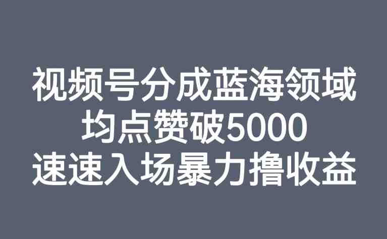 视频号分成蓝海领域，均点赞破5000，速速入场暴力撸收益(探索视频号分成蓝海领域，实现高收益的实操指南)