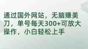 通过国外网站,无脑赚美刀,单号每天300+可放大操作,小白轻松上手【揭秘】 通过国外网站,无脑赚美刀,单号每天300+可放大操作,小白轻松上手【揭秘】