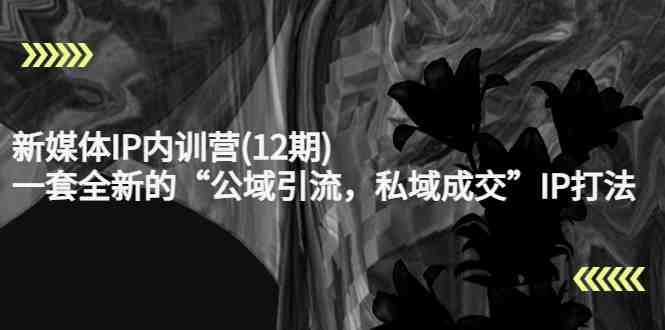 新媒体IP内训营(12期),一套全新的“公域引流,私域成交”IP打法,直接带走(全新IP打法助您实现公域引流与私域成交) 新媒体IP内训营(12期),一套全新的“公域引流,私域成交”IP打法,直接带走(全新IP打法助您实现公域引流与私域成交)