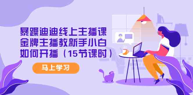暴躁迪迪线上主播课，金牌主播教新手小白如何开播（15节课时）(金牌主播亲授，助你成为直播达人！)