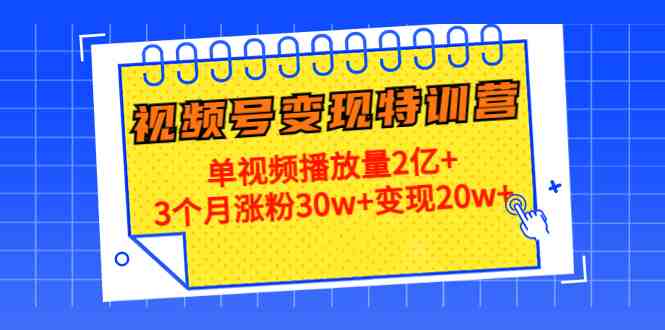 20天视频号变现特训营:单视频播放量2亿+3个月涨粉30w+变现20w+(全面掌握视频号运营与变现技巧,助您实现粉丝增长与财富增值) 20天视频号变现特训营:单视频播放量2亿+3个月涨粉30w+变现20w+(全面掌握视频号运营与变现技巧,助您实现粉丝增长与财富增值)