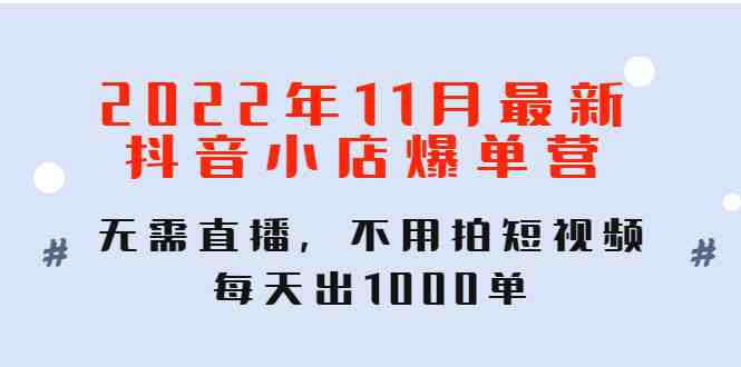 2022年11月最新抖音小店爆单训练营：无需直播，不用拍短视频，每天出1000单(无需直播、拍短视频，抖音小店爆单训练营助你每天出1000单)
