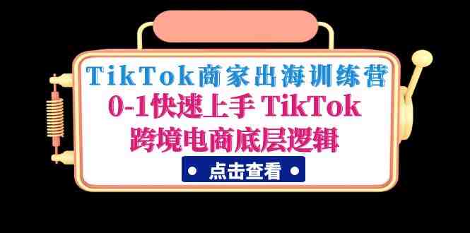 TikTok商家出海训练营：0-1快速上手 TikTok跨境电商底层逻辑(无中创水印)(TikTok商家出海训练营掌握跨境电商底层逻辑，助力商家快速成长)