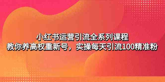 小红书运营引流全系列课程:教你养高权重新号,实操每天引流100精准粉(掌握小红书运营技巧,实现高效引流与粉丝增长) 小红书运营引流全系列课程:教你养高权重新号,实操每天引流100精准粉(掌握小红书运营技巧,实现高效引流与粉丝增长)