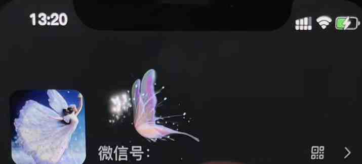 微信动态昵称设置方法,可抖音直播引流,日赚上百【详细视频教程+素材】(微信动态昵称设置方法,轻松日赚上百!) 微信动态昵称设置方法,可抖音直播引流,日赚上百【详细视频教程+素材】(微信动态昵称设置方法,轻松日赚上百!)