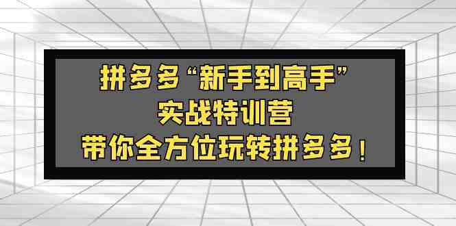 拼多多“新手到高手”实战特训营:带你全方位玩转拼多多!(拼多多实战特训营助你从新手到高手!) 拼多多“新手到高手”实战特训营:带你全方位玩转拼多多!(拼多多实战特训营助你从新手到高手!)