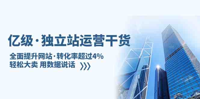 亿级·独立站运营干货:全面提升网站·转化率超过4%,轻松大卖 用数据说话(亿级独立站运营干货全面解析提升转化率的策略与技巧) 亿级·独立站运营干货:全面提升网站·转化率超过4%,轻松大卖 用数据说话(亿级独立站运营干货全面解析提升转化率的策略与技巧)