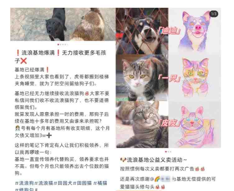 小红书蓝海类赛道:小动物打赏与购买变现副业项目,一条龙玩法分享给你!(小红书蓝海类赛道小动物打赏与购买变现副业项目揭秘) 小红书蓝海类赛道:小动物打赏与购买变现副业项目,一条龙玩法分享给你!(小红书蓝海类赛道小动物打赏与购买变现副业项目揭秘)